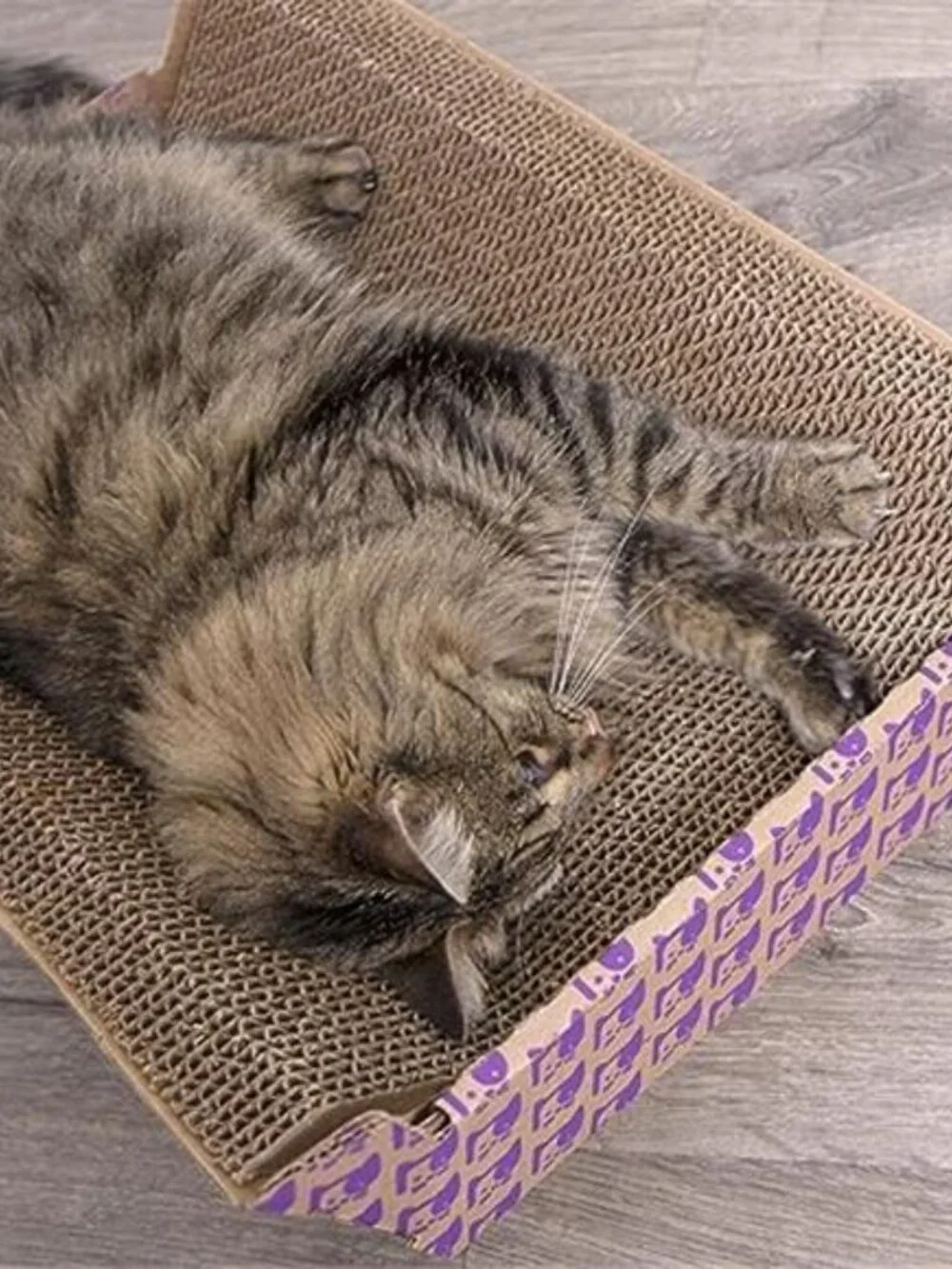 Cat Scratcher Lounge Bed Cardboard Cat Scratcher Catnip Infused Bed